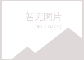 乐陵山柳工程有限公司